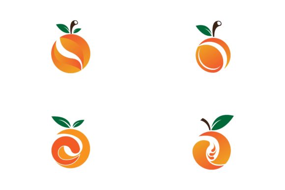 Download Orange Icon and Symbol Vector Template - Orange Collection