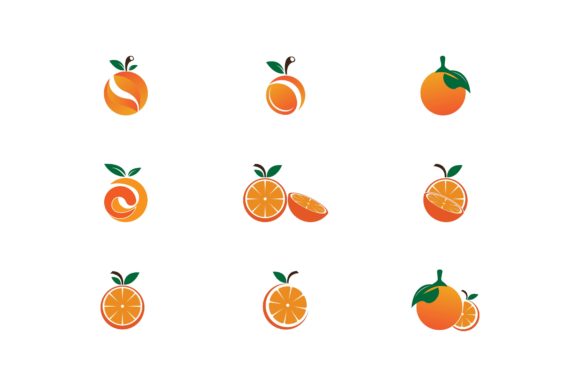 Download Orange Icon and Symbol Vector Template - Orange Collection